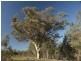 Lot 6 O’Briens Lane, Axedale VIC 3551