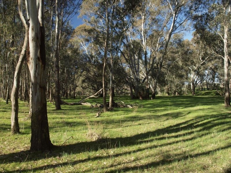 Lot 6 O’Briens Lane, Axedale VIC 3551