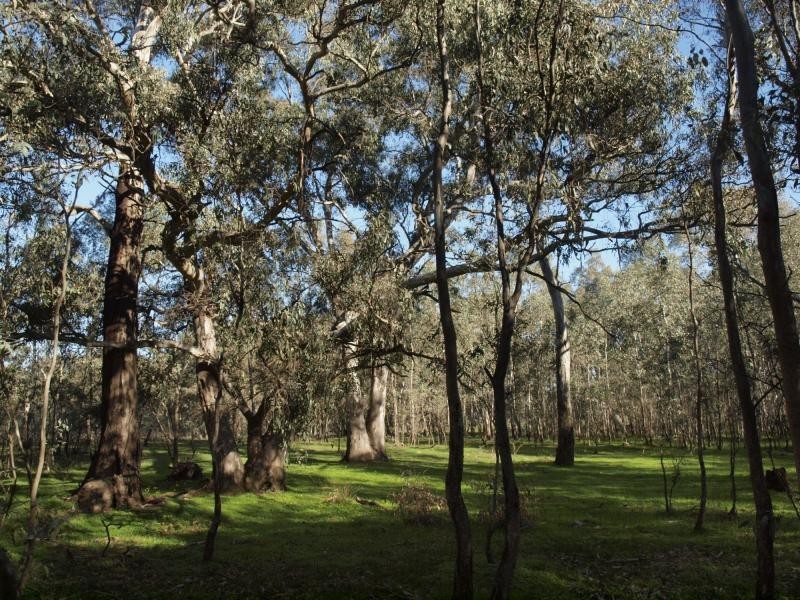 Lot 6 O’Briens Lane, Axedale VIC 3551