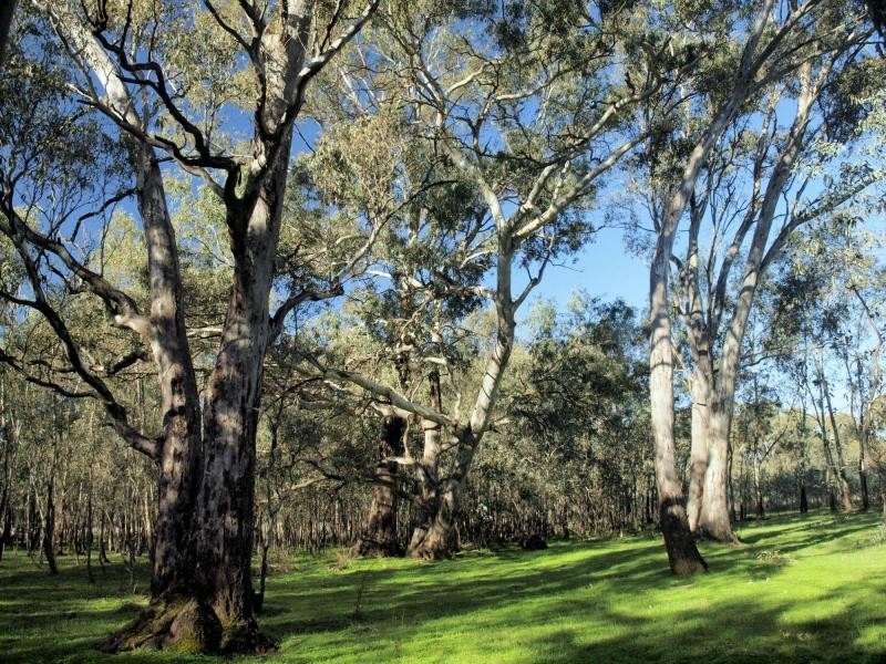 Lot 6 O’Briens Lane, Axedale VIC 3551