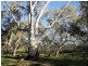 Lot 6 O’Briens Lane, Axedale VIC 3551