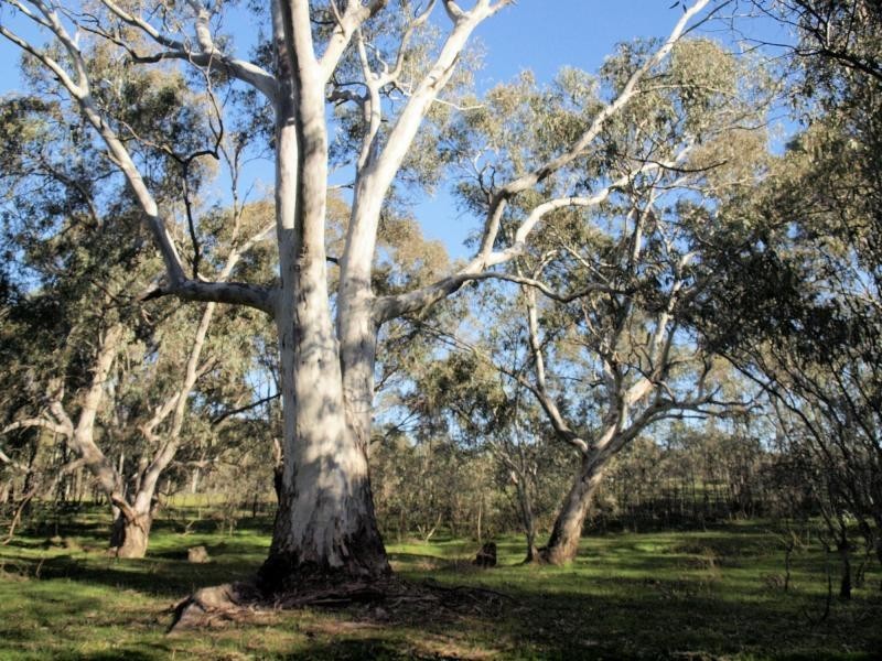 Lot 6 O’Briens Lane, Axedale VIC 3551
