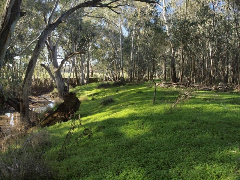 Lot 6 O’Briens Lane, Axedale VIC 3551