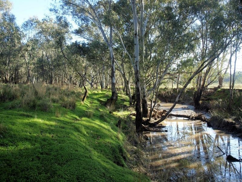 Lot 6 O’Briens Lane, Axedale VIC 3551