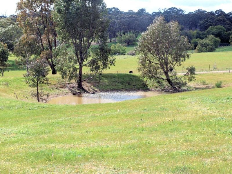 145 Heathcote-Redesdale Road, Heathcote VIC 3523