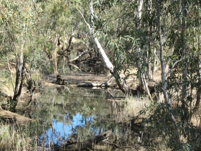 Lot 28 Pinpandoor Road, Axedale VIC 3551