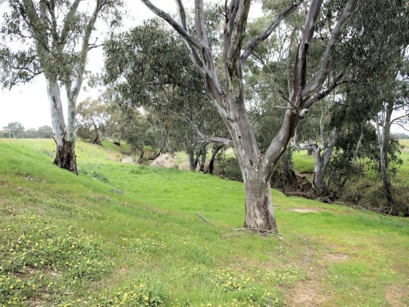 Lot 11 Northwood Court, Axedale VIC 3551