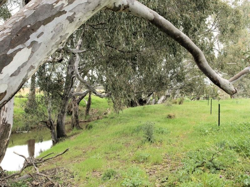 Lot 11 Northwood Court, Axedale VIC 3551