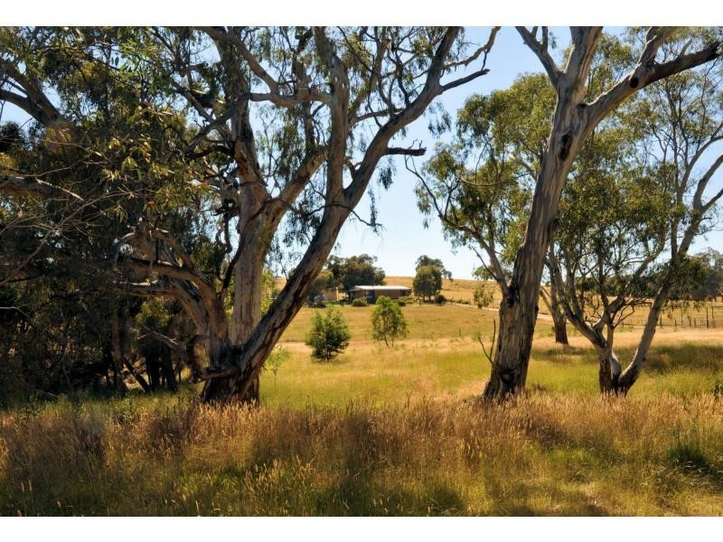 430 Hardings Lane , Heathcote, Tooborac VIC 3522