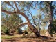 Ravenswood VIC 3453