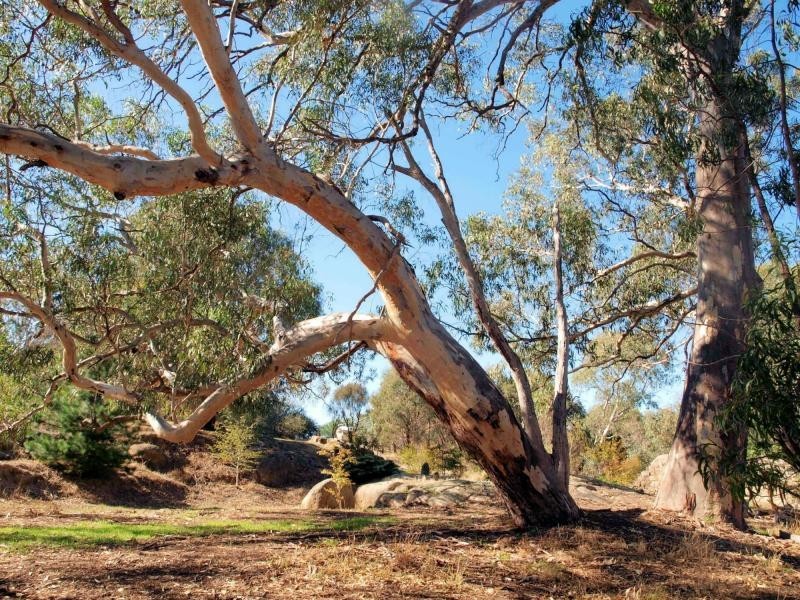 Ravenswood VIC 3453
