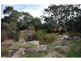 Ravenswood VIC 3453
