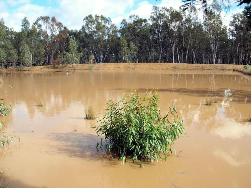 111 Doolan Crescent, Heathcote VIC 3523