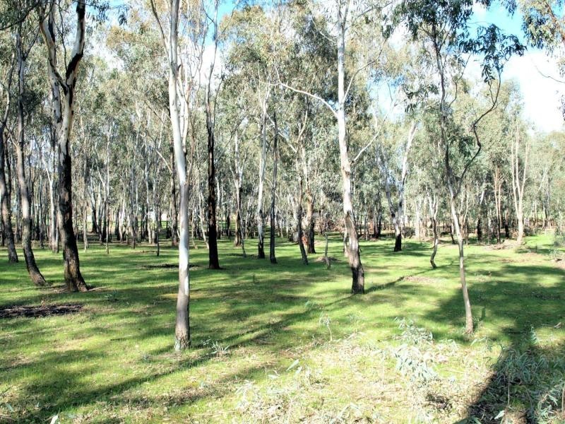 111 Doolan Crescent, Heathcote VIC 3523