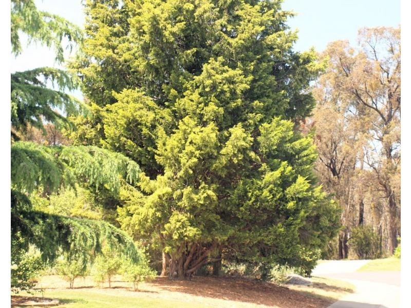 3 Snow Gum Court, Strathdale VIC 3550