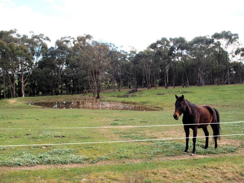 Lot 13 Heathcote-Redesdale Road, Heathcote VIC 3523