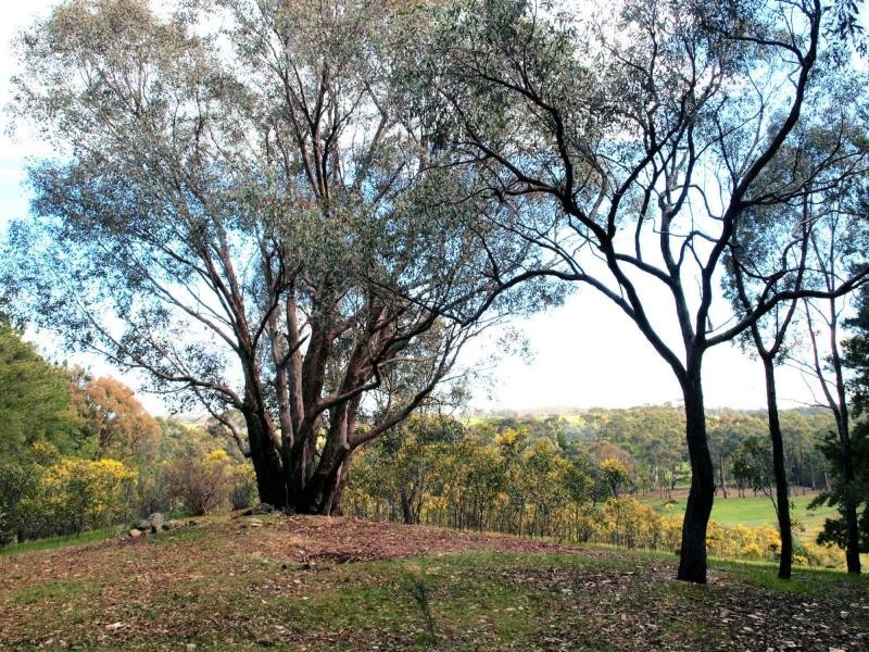 Lot 13 Heathcote-Redesdale Road, Heathcote VIC 3523