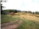 Lot 13 Heathcote-Redesdale Road, Heathcote VIC 3523