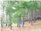 Lot 13 Heathcote-Redesdale Road, Heathcote VIC 3523