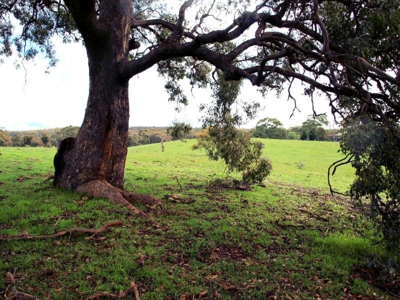 Lot 6 Sailors Gully Court, Heathcote VIC 3523