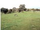 Lot 6 Sailors Gully Court, Heathcote VIC 3523