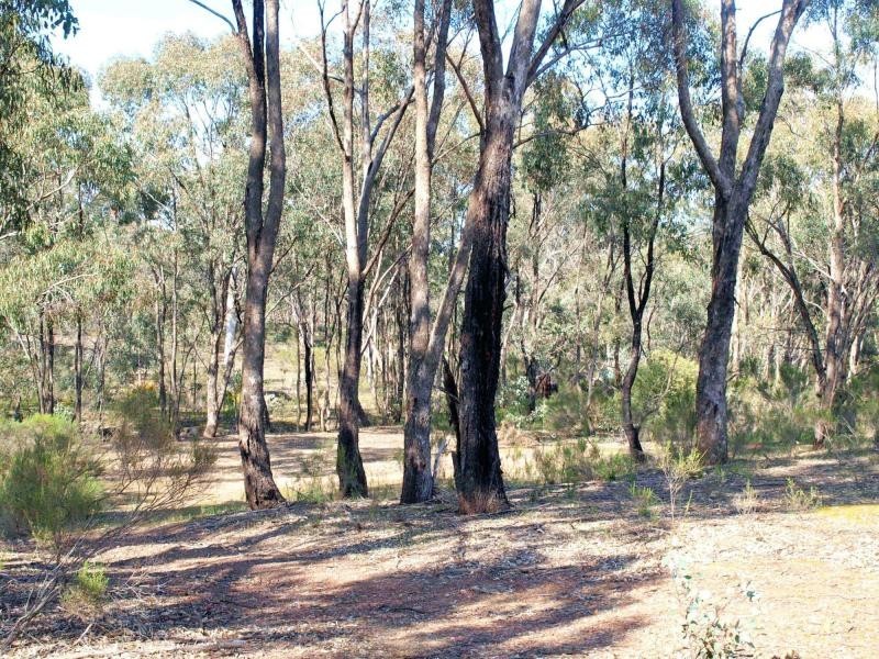 234 Heathcote-Nagambie Road, Heathcote VIC 3523