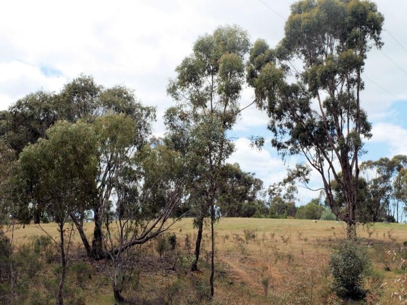 90 Heathcote-Redesdale Road, Heathcote VIC 3523