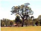 97 Dealba Road, Heathcote VIC 3523
