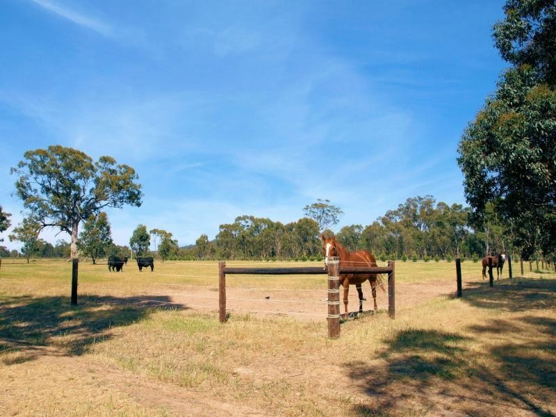 97 Dealba Road, Heathcote VIC 3523