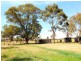 97 Dealba Road, Heathcote VIC 3523