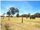 97 Dealba Road, Heathcote VIC 3523