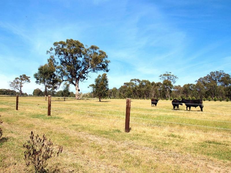 97 Dealba Road, Heathcote VIC 3523