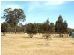 97 Dealba Road, Heathcote VIC 3523
