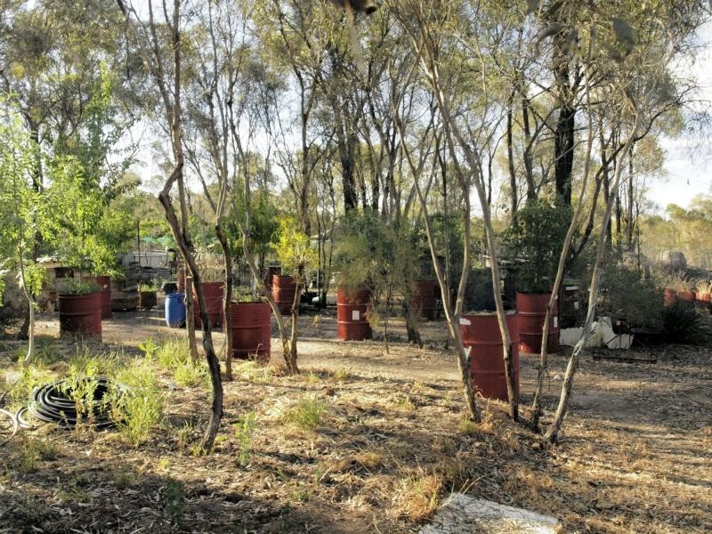 357 Forest Drive, Myers Flat VIC 3556