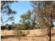Lot 1 Sailors Gully Court, Heathcote VIC 3523