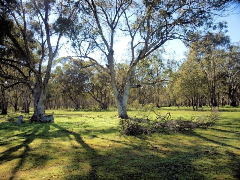 Lot 15 Northwood Court, Longlea Estate, Axedale VIC 3551