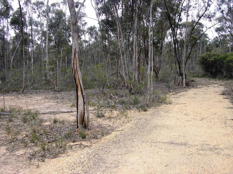 2-8 Cockatoo Drive, Junortoun Ridge Estate, Junortoun VIC 3551