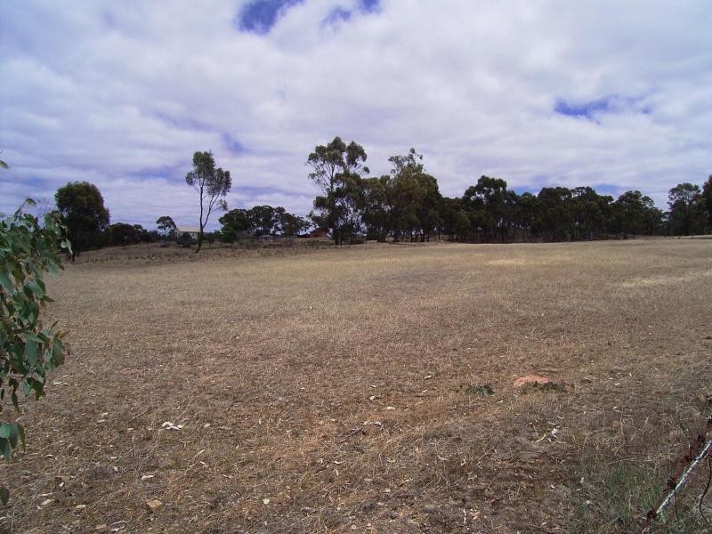 Maiden Gully VIC 3551