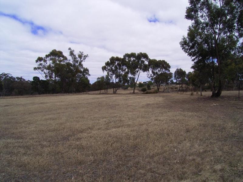 Maiden Gully VIC 3551