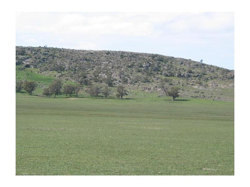 1 Buckrabanyule North Road, Charlton VIC 3525