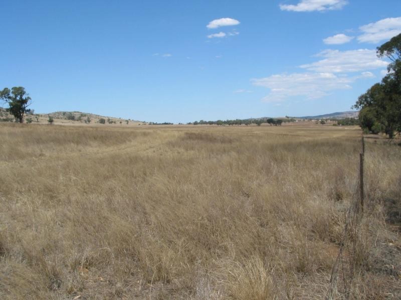 1 Buckrabanyule North Road, Charlton VIC 3525