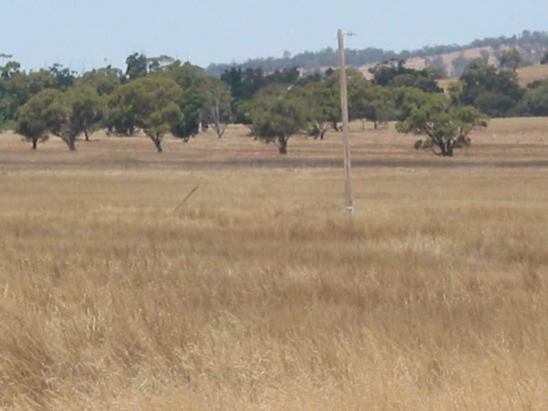 1 Buckrabanyule North Road, Charlton VIC 3525