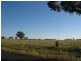 Neilborough VIC 3570