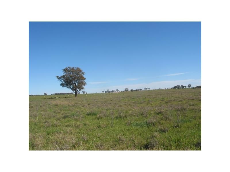 Neilborough VIC 3570