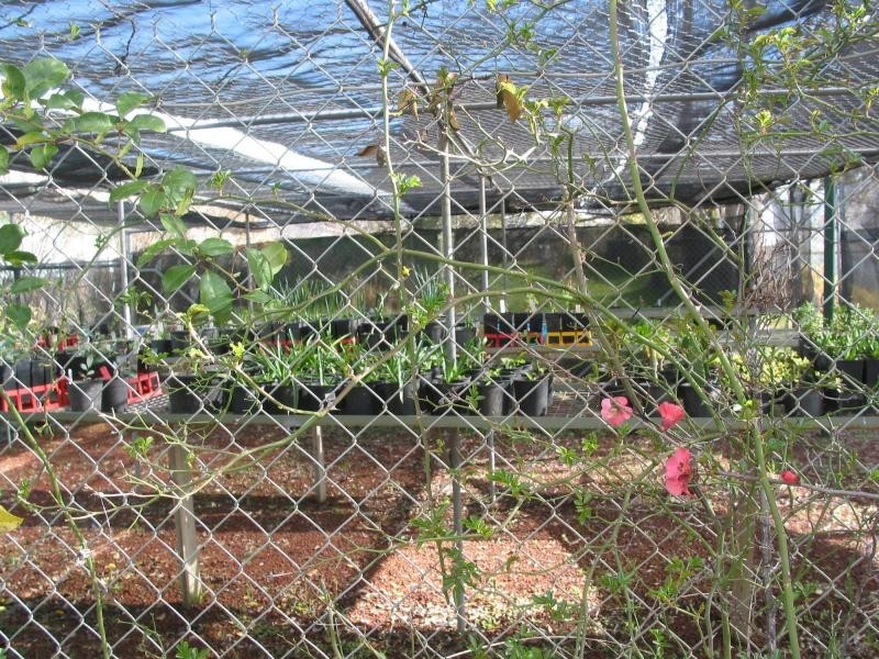 96 High Street, Wedderburn VIC 3518