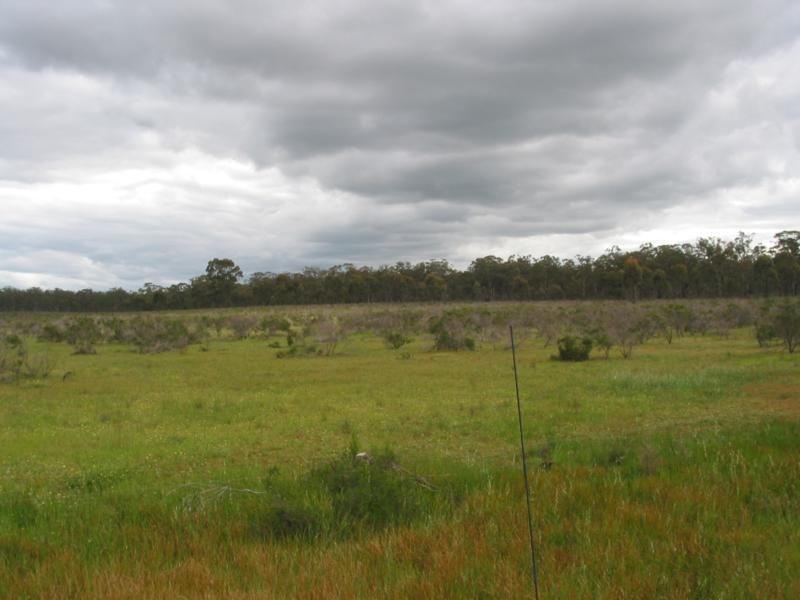 1 Derby Road, Campbells Forest VIC 3556