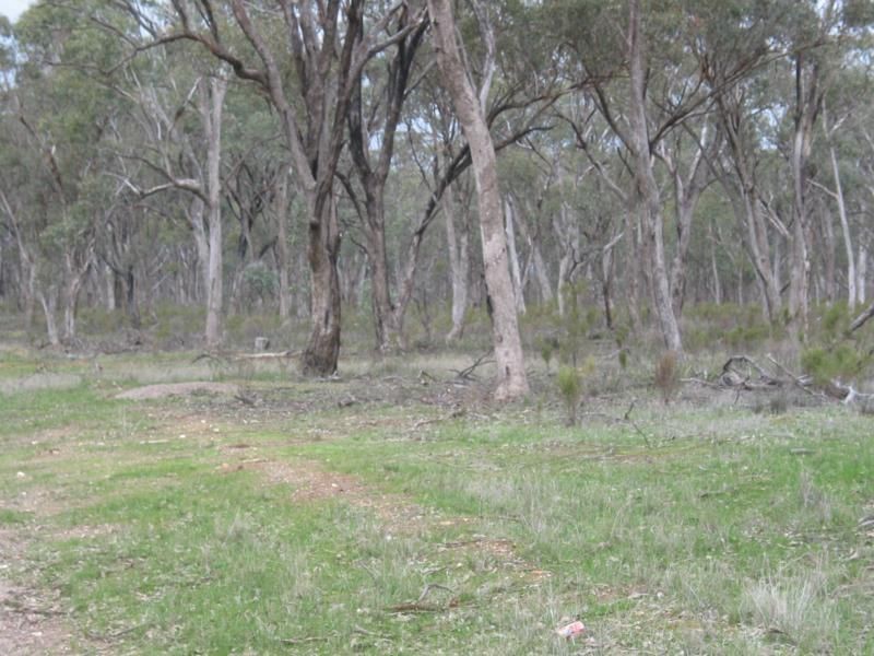 1 Derby Road, Campbells Forest VIC 3556