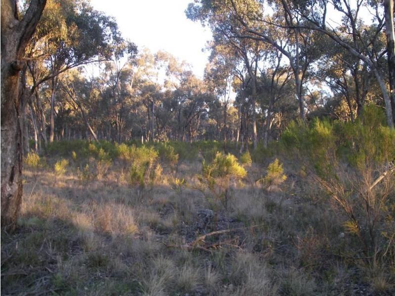 2 Derby Road, Campbells Forest VIC 3556