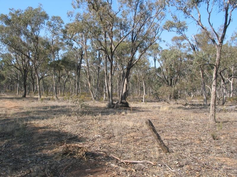 2 Derby Road, Campbells Forest VIC 3556