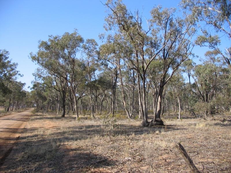 2 Derby Road, Campbells Forest VIC 3556